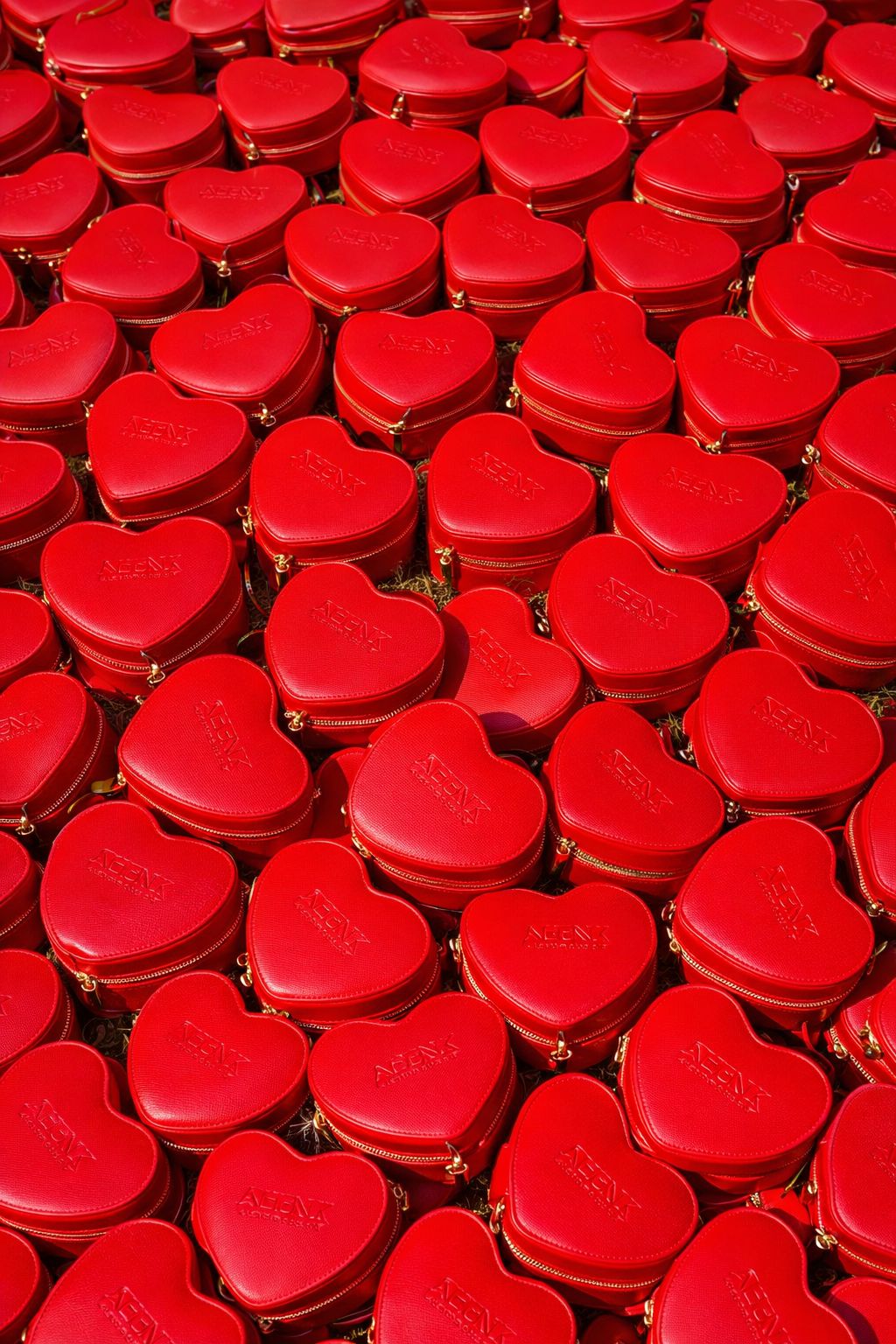 PHOTO-2026-02-07-12-49-48.jpg (270 KB)